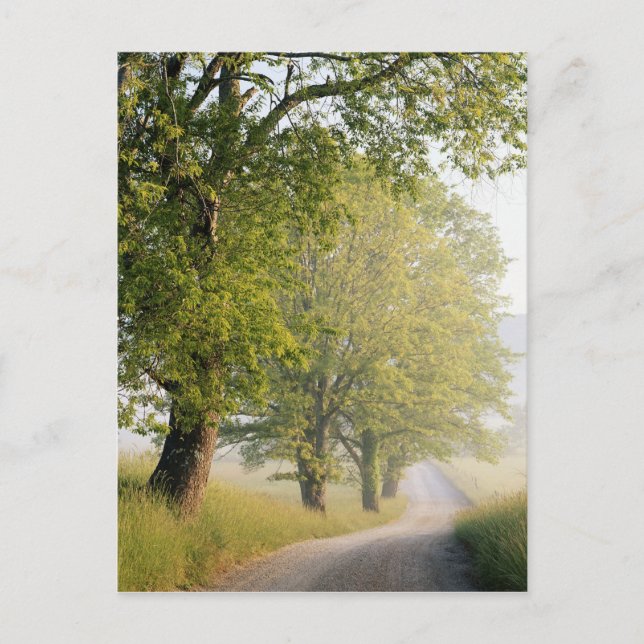 Cartão Postal Cades Cove | Montanhas de fumo do Excelente, TN (Frente)