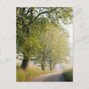 Cartão Postal Cades Cove Montanhas de fumo do Excelente, TN