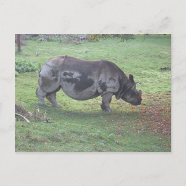 CARTÃO POSTAL CAE5ULC1 (Frente)