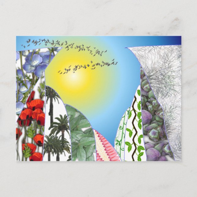 Cartão Postal Cães (Frente)