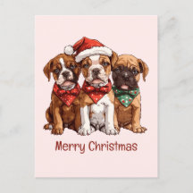 Cães Boxer Feliz de Natal