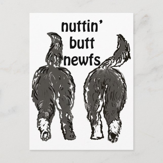 Cartão Postal Cães da Terra Nova (Frente)