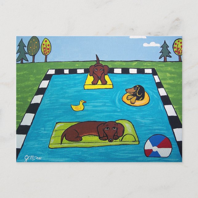 Cartão Postal Cães Dachshund Têm Cartão-Postal de Piscina (Frente)