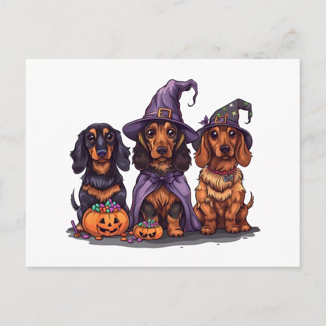 Cartão Postal Cães das Bruxas do Halloween Dachshund (Frente)