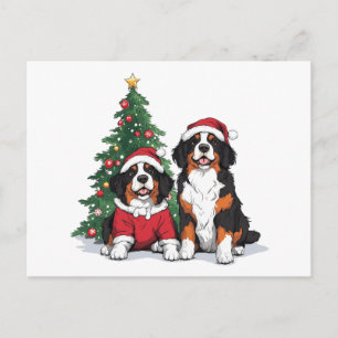 Cartão Postal Cães das Montanhas Bernesas de Natal