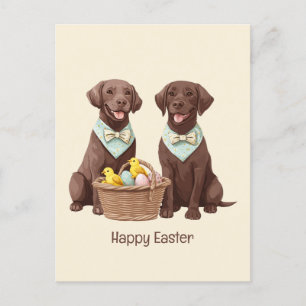 Cartão Postal Cães de felz pascoa de chocolate Labrador