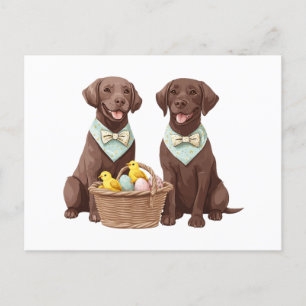 Cartão Postal Cães de páscoa de chocolate Labrador