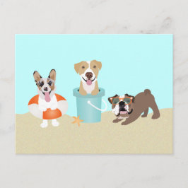 Cartão Postal Cães de Verão de Praia Laranja Azul