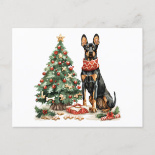 Cartão Postal Cães Dobermann de Natal