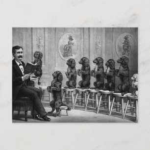 Cartão Postal Cães Educados
