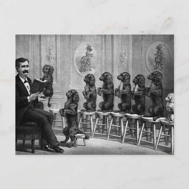 Cartão Postal Cães Educados (Frente)