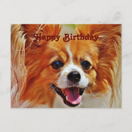 Cartão Postal Cães engraçados Feliz Aniversário