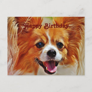 Cartão Postal Cães Engraçados Feliz Aniversário