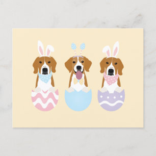 Cartão Postal Cães felzs pascoa