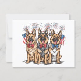 Cartão Postal Cães German shepherd Do Dia 4 De Julho