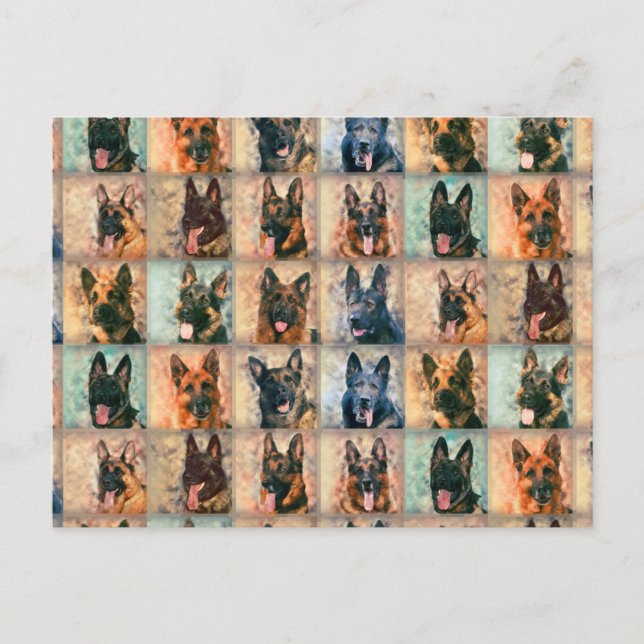 Cartão Postal Cães german shepherd - GSD - Colagem de Arte Digit (Frente)