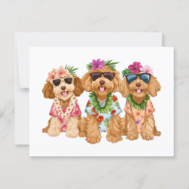 Cartão Postal Cães Goldendoodle Havaianos Flor Lei