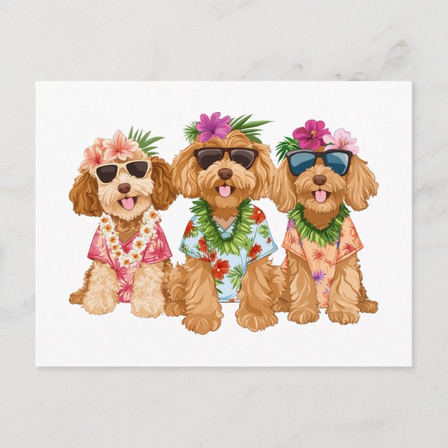 Cartão Postal Cães Goldendoodle Havaianos Flor Lei (Frente)