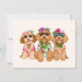 Cartão Postal Cães Goldendoodle Havaianos Flor Lei