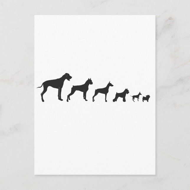 Cartão Postal Cães, grandes e pequenos (Frente)