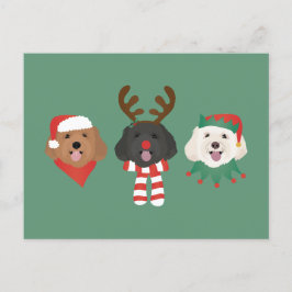 Cartão Postal Cães Maltipoo de Natal