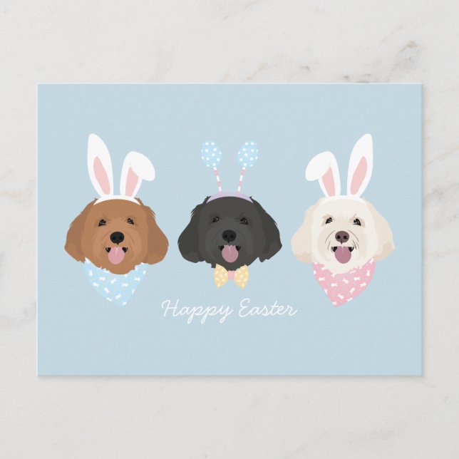 Cartão Postal Cães Maltipoo felzs pascoa (Frente)