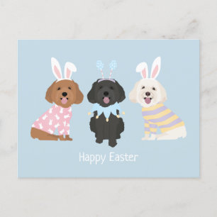 Cartão Postal Cães Maltipoo felzs pascoa