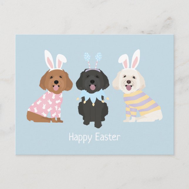Cartão Postal Cães Maltipoo felzs pascoa (Frente)