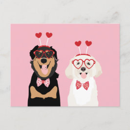 Cartão Postal Cães namorados Rottweiler Maltipoo Puppy