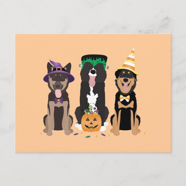 Cartão Postal Cães Nos Fatos De Halloween (Frente)