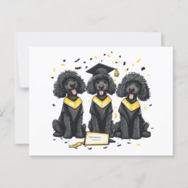 Cartão Postal Cães Poodle Padrão de Formatura