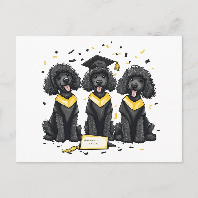 Cartão Postal Cães Poodle Padrão De Graduação (Frente)