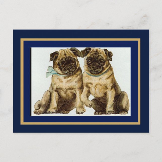 Cartão Postal Cães Pug Antigos (Frente)