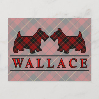 Cartão Postal Cães Scottie do Tartan do Clã Wallace