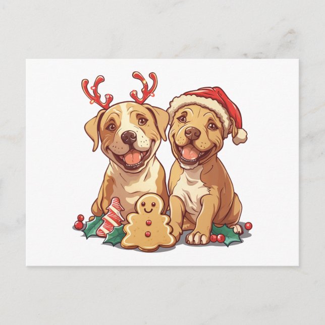 Cartão Postal Cães Touro de Natal (Frente)