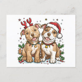 Cartão Postal Cães Touro de Natal