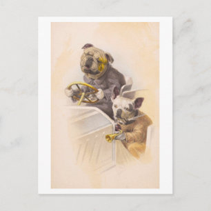 Cartão Postal Cães Vintage Dirigindo um Carro