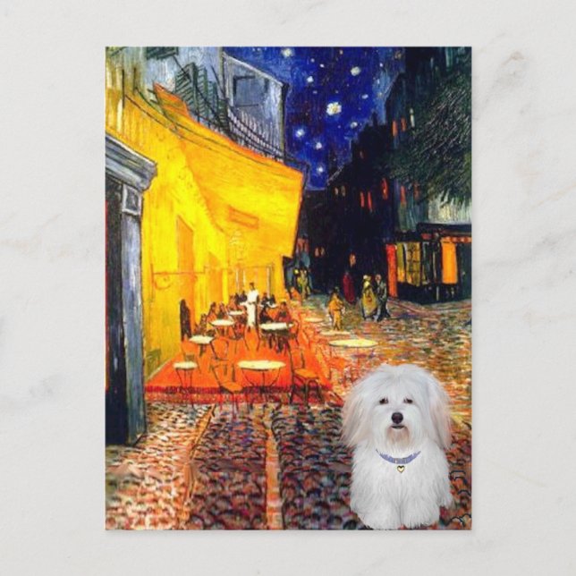Cartão Postal Café - Coton de Tulear 4b (Frente)