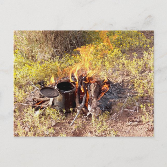 Cartão Postal Café Cowboy em Primaveras Dolan, Arizona (Frente)