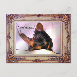 Cartão Postal Café da manhã na cama Yorkie?