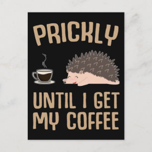 Cartão Postal Café Engraçado Lover Sarcasm Hedgehog Lover