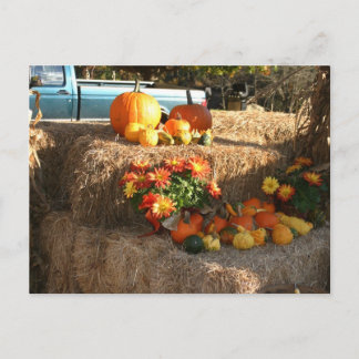 Cartão Postal Cai em Ellington, CT.