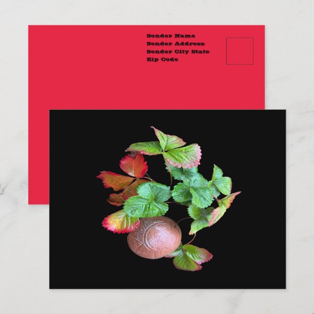 Cartão Postal Cair Na Estação De Morango Foto Do Jardim Do Quint (Frente/Verso)