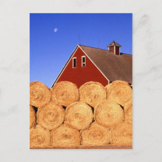 Cartão Postal Cair na Fazenda