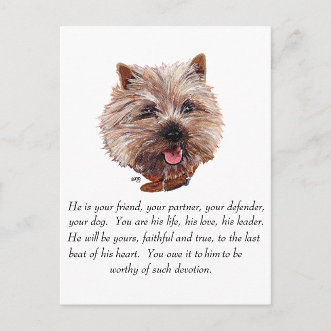 Cartão Postal Cairn Terrier de Recordação - Macho (Frente)