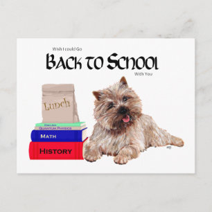 Cartão Postal Cairn Terrier de Volta à Escola