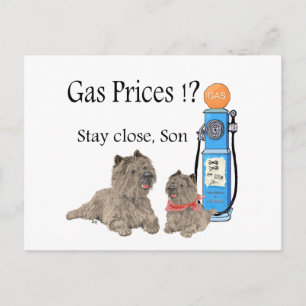 Cartão Postal Cairn Terriers Preços da Gasolina ?!!