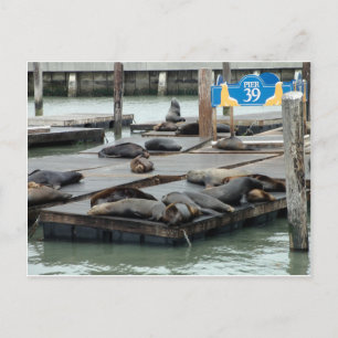 Cartão Postal Cais 39