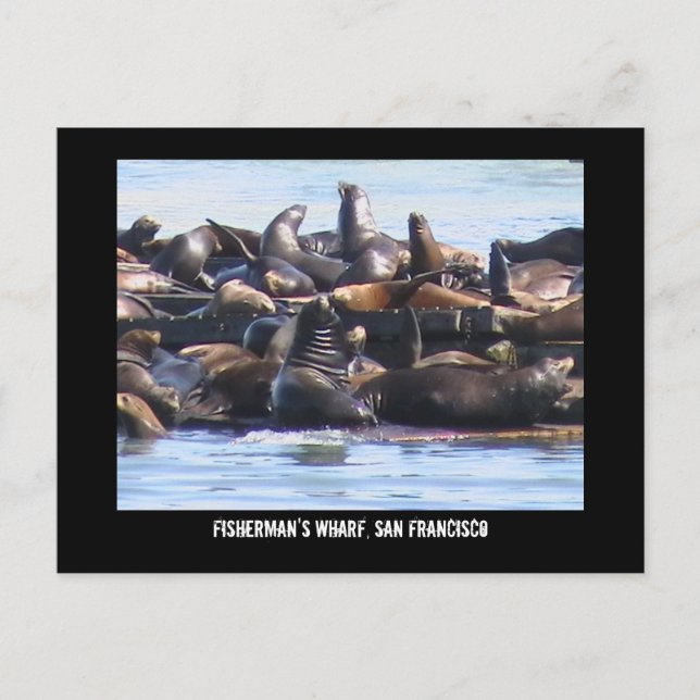 Cartão Postal Cais do pescador (Frente)