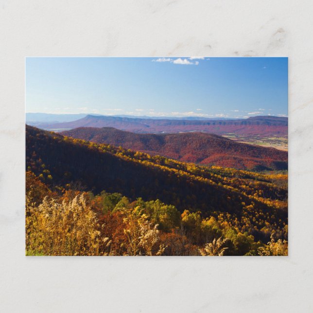 Cartão Postal Caiu no Vale de Shenandoah, Virgínia (Frente)